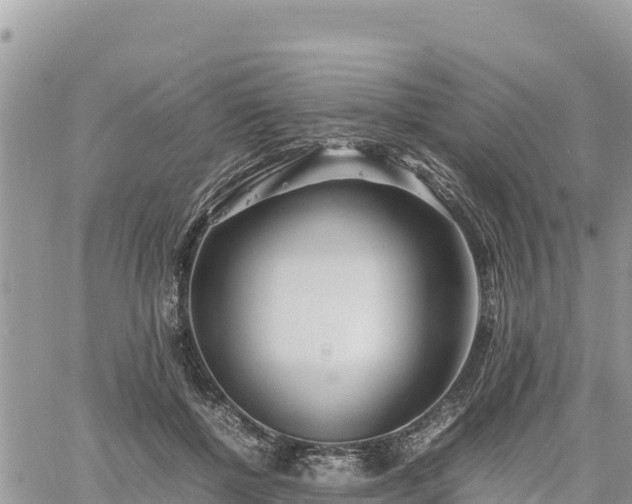 X0000060750552200511171125