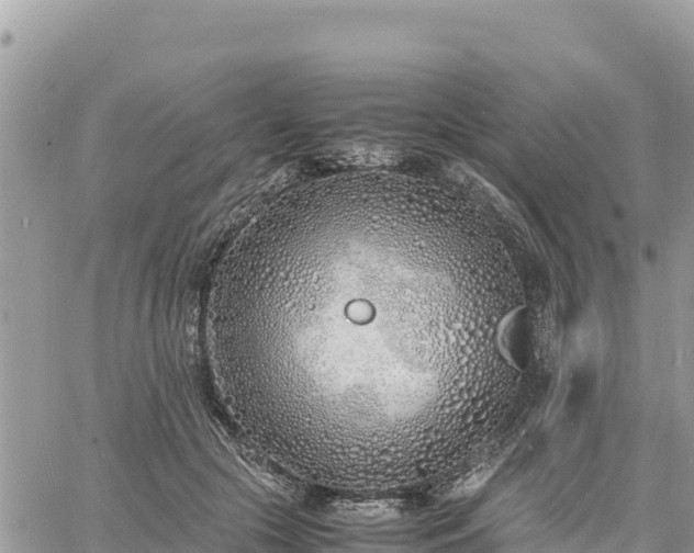 X0000060750553200511171125