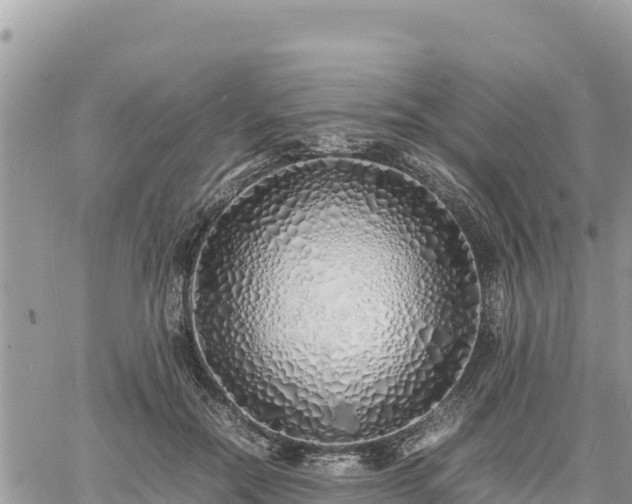 X0000060750554200511171125