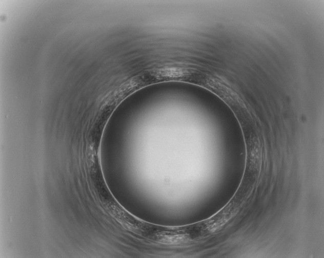 X0000060750555200511171125