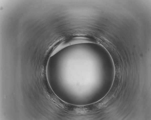 X0000060750556200511171125