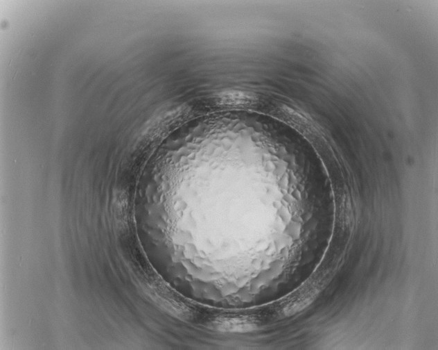 X0000060750557200511171125