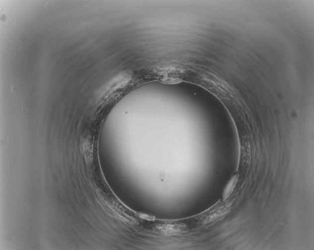 X0000060750558200511171125