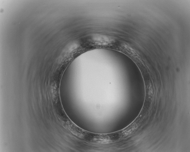 X0000060750559200511171125