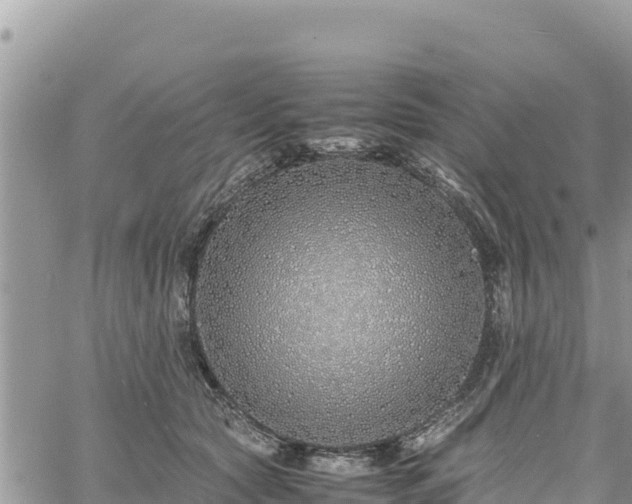 X0000060750561200511171125