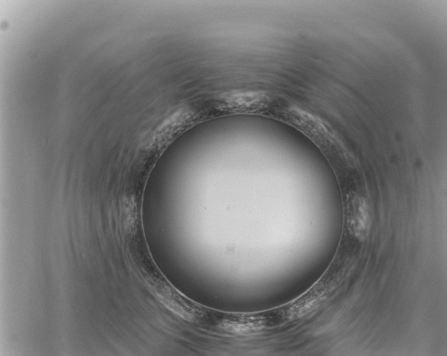 X0000060750563200511171125