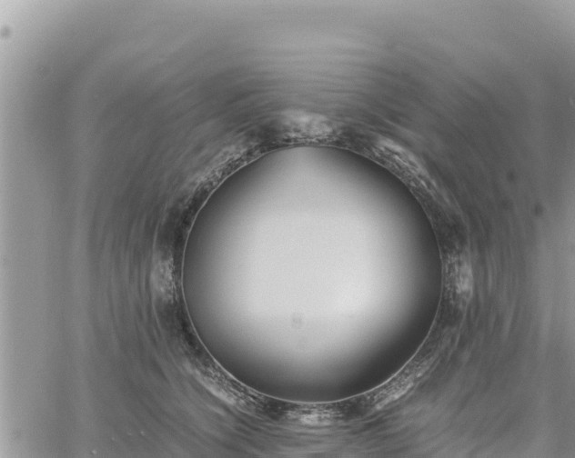 X0000060750564200511171125