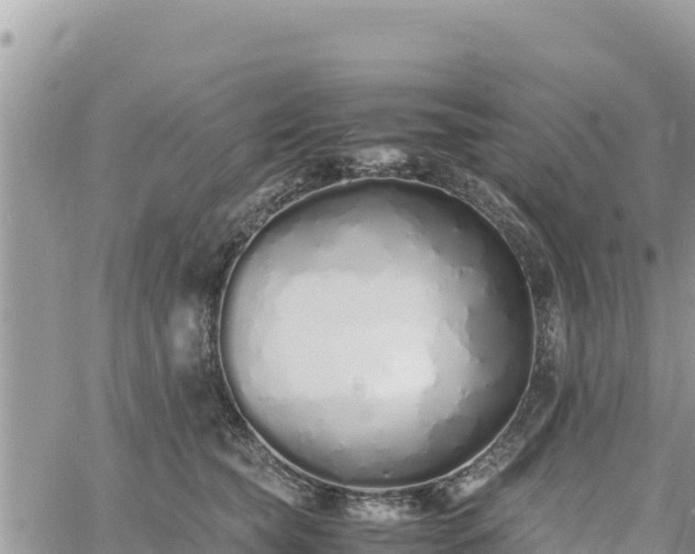 X0000060750565200511171125