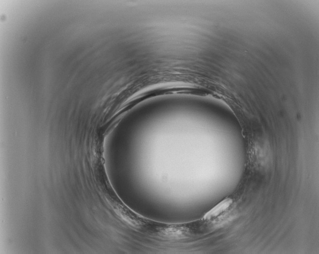 X0000060750566200511171125