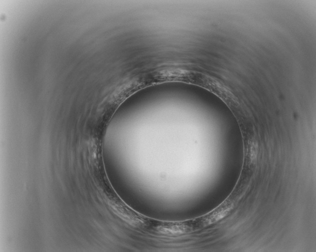 X0000060750567200511171125