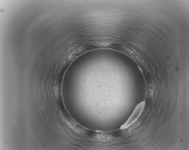 X0000060750568200511171125