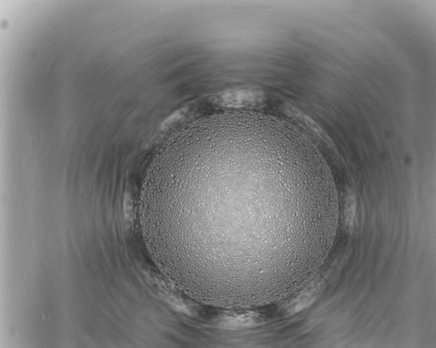 X0000060750569200511171125