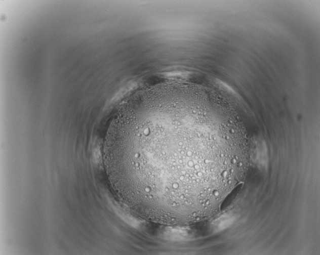 X0000060750573200511171126