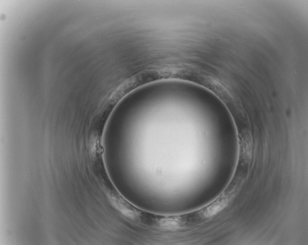 X0000060750574200511171126