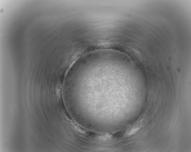 X0000060750576200511171126