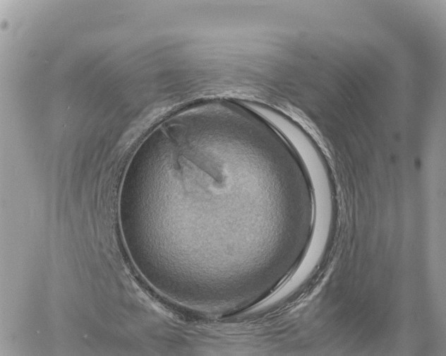 X0000060750577200511171125