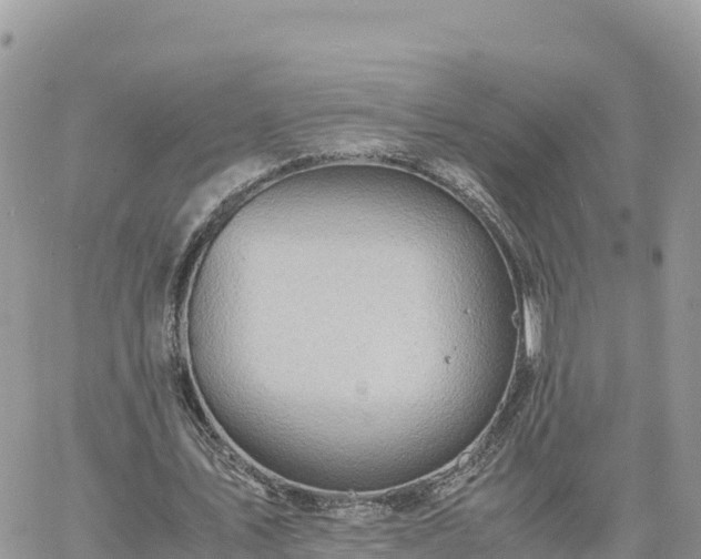 X0000060750579200511171125