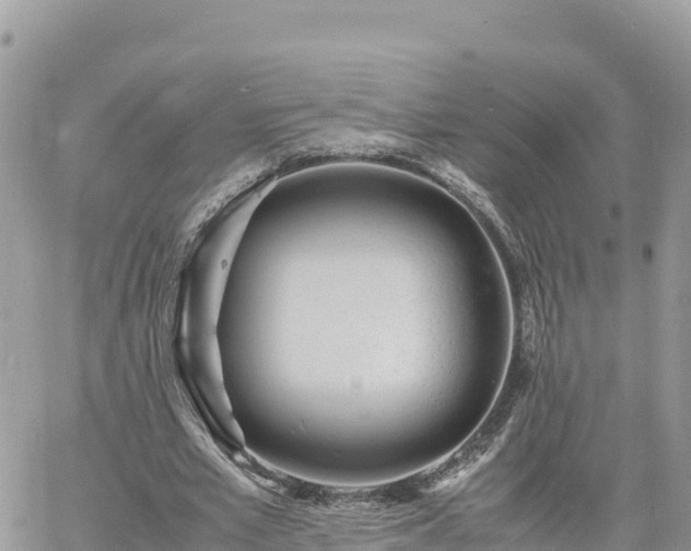 X0000060750581200511171125