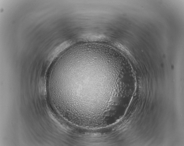 X0000060750582200511171125