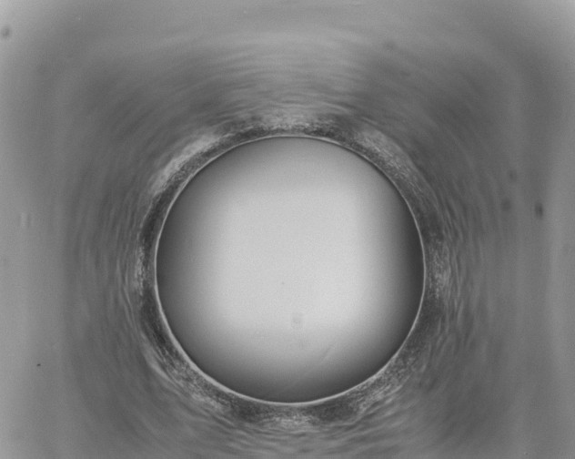 X0000060750583200511171125