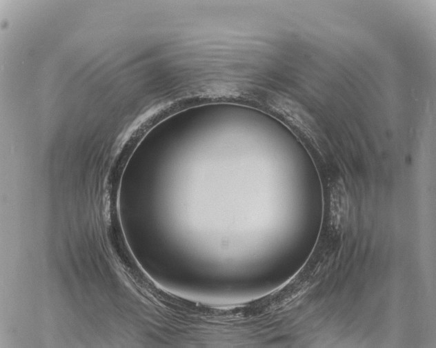 X0000060750584200511171125