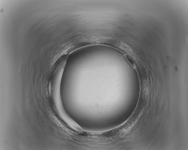 X0000060750585200511171125