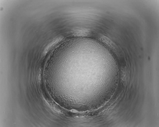 X0000060750586200511171125