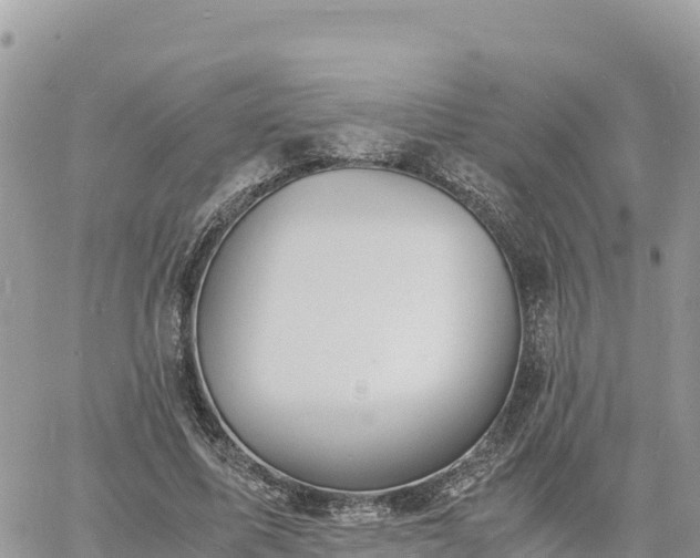 X0000060750587200511171125