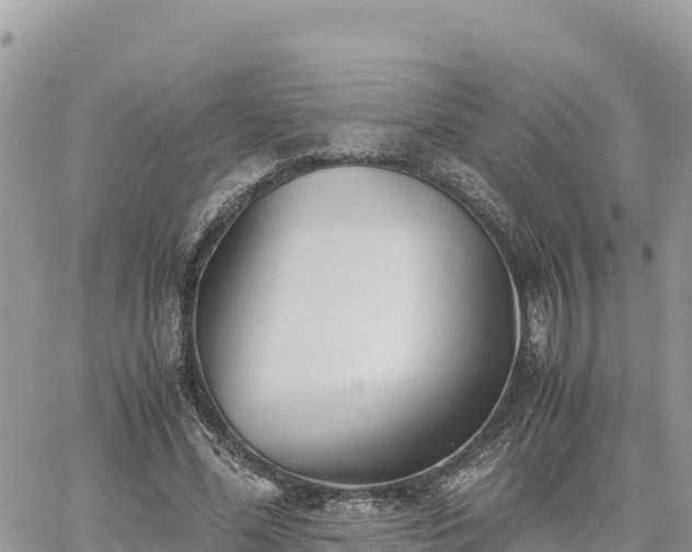 X0000060750588200511171125