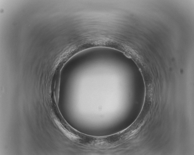 X0000060750589200511171125