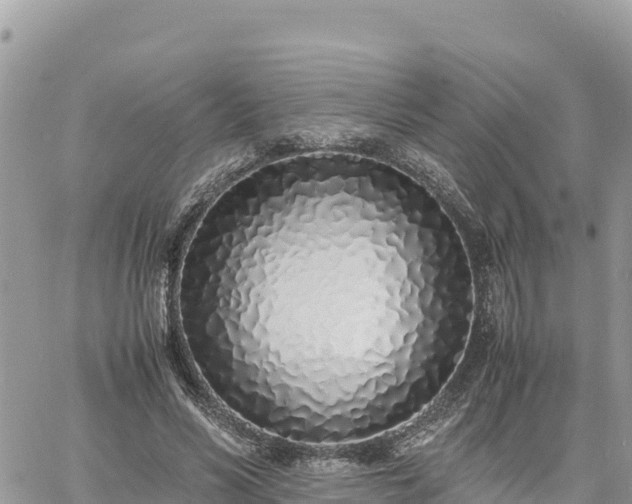 X0000060750590200511171125