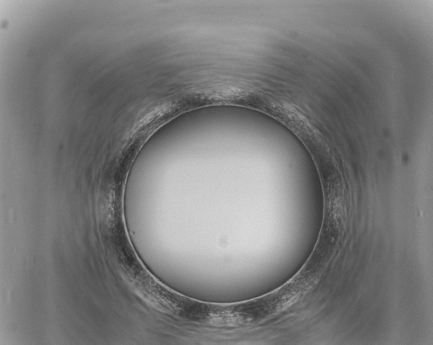 X0000060750591200511171125