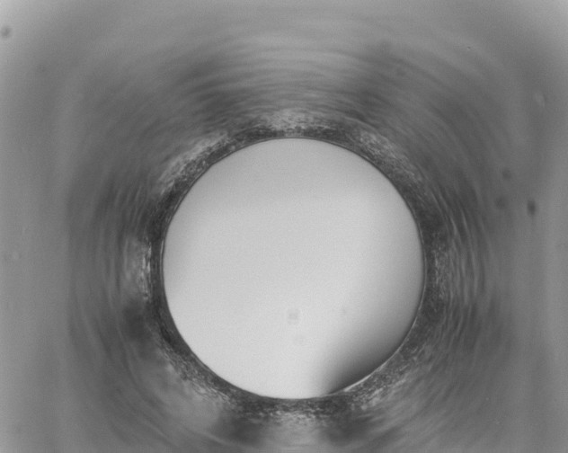 X0000060750592200511171125