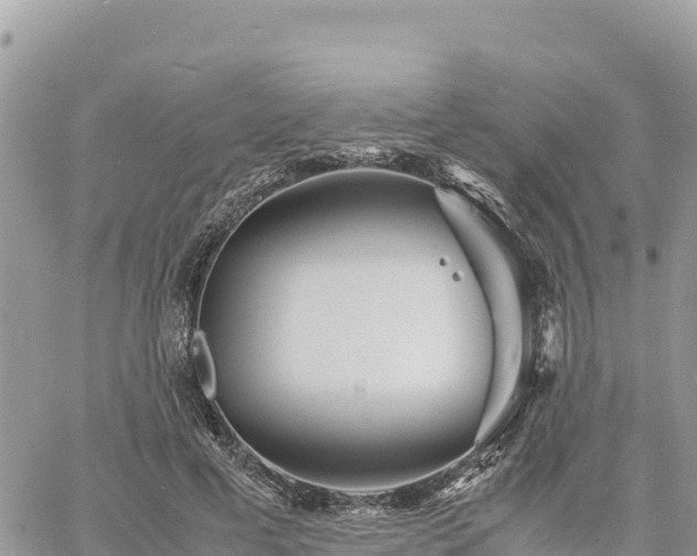 X0000060750593200511171125