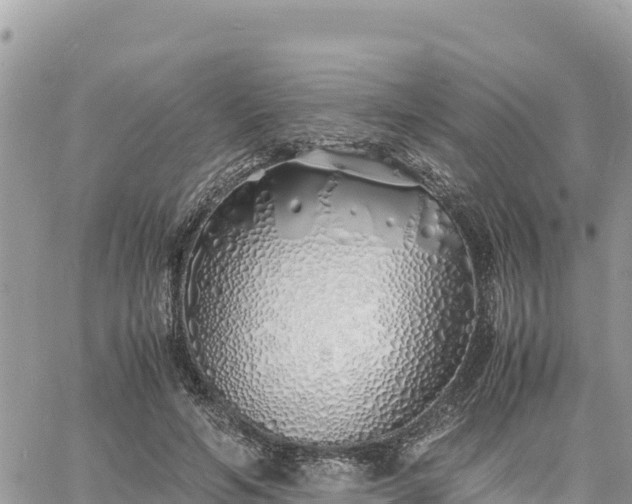 X0000060750594200511171125