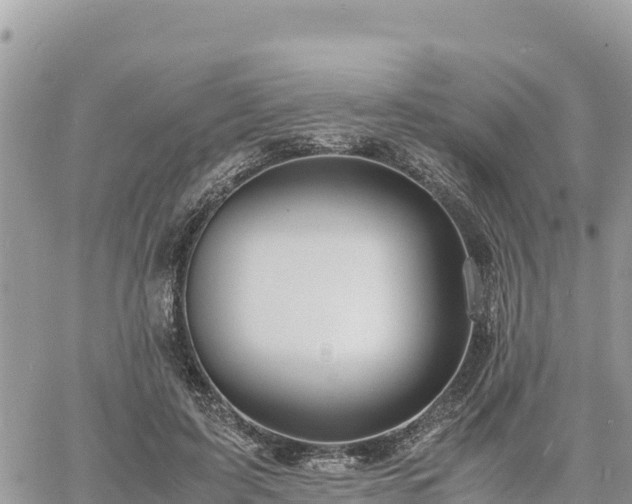 X0000060750595200511171125