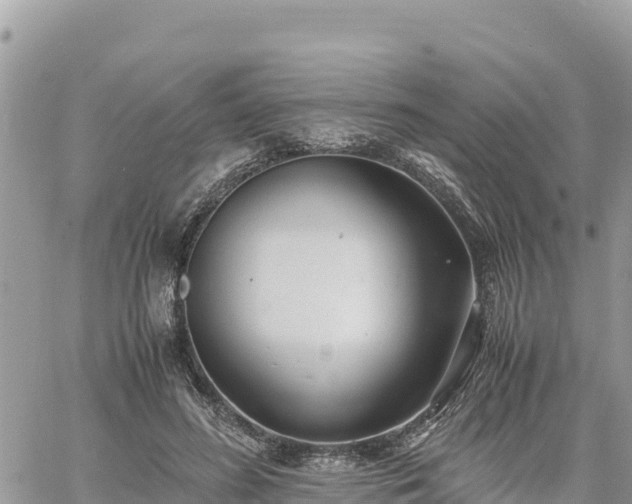 X0000060750596200511171124