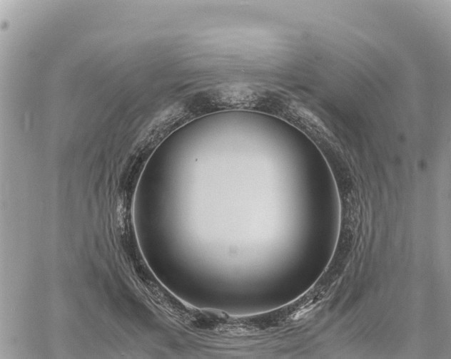 X0000060750597200511171124