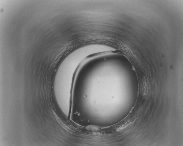 X0000060750598200511171124