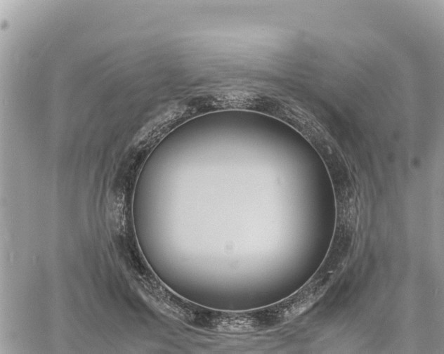 X0000060750599200511171124