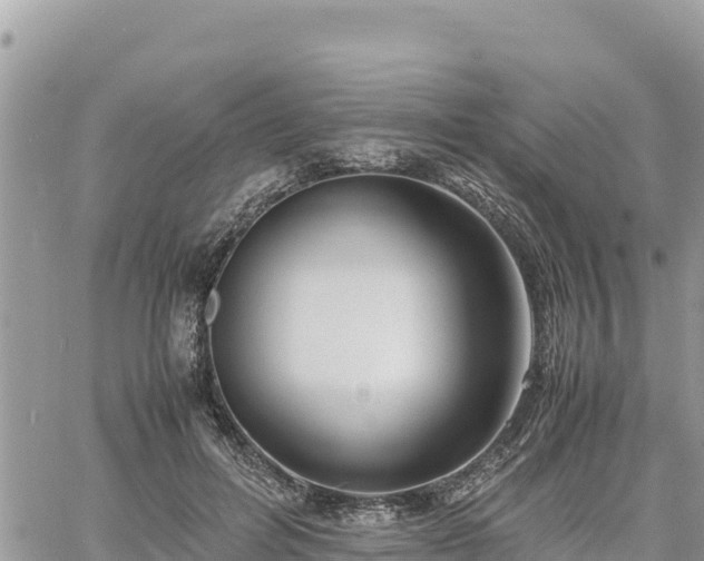 X0000060750600200511171124