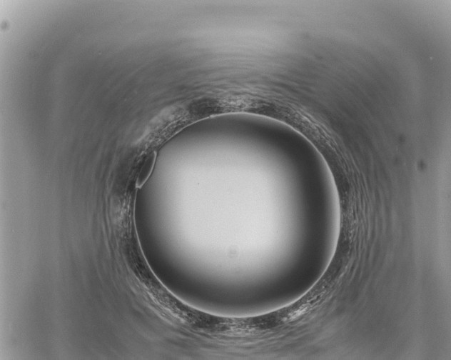 X0000060750601200511171124