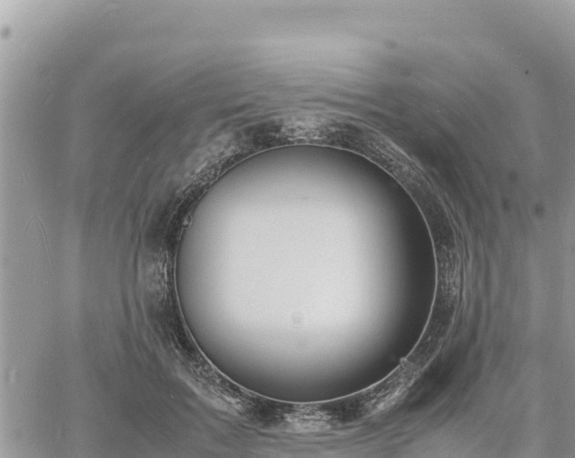 X0000060750603200511171124