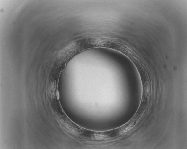 X0000060750605200511171124