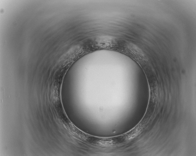 X0000060750606200511171124