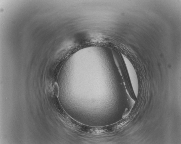 X0000060750607200511171124