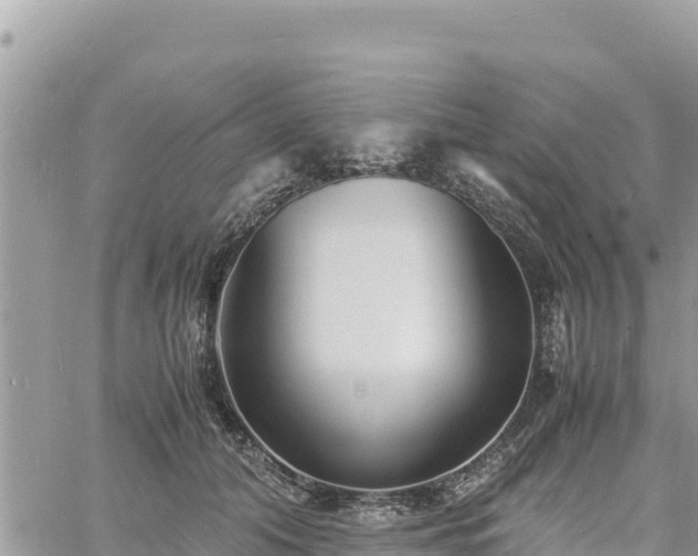 X0000060750608200511171124