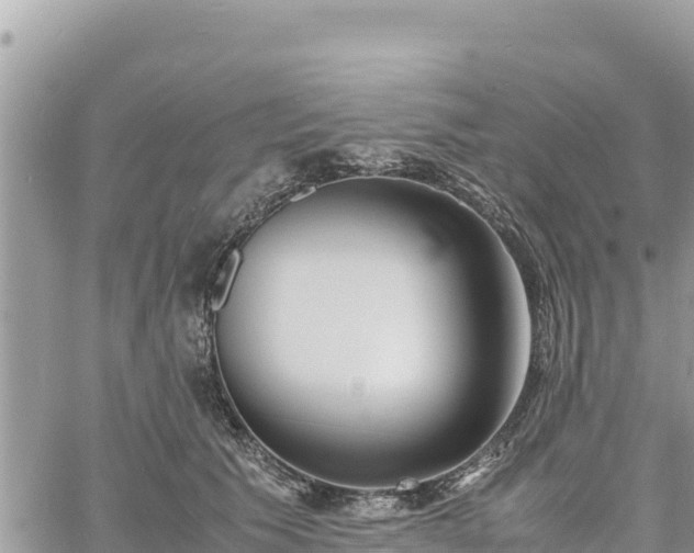 X0000060750609200511171124