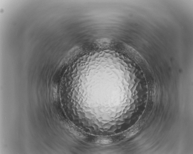 X0000060750610200511171124