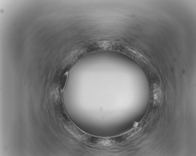 X0000060750611200511171124